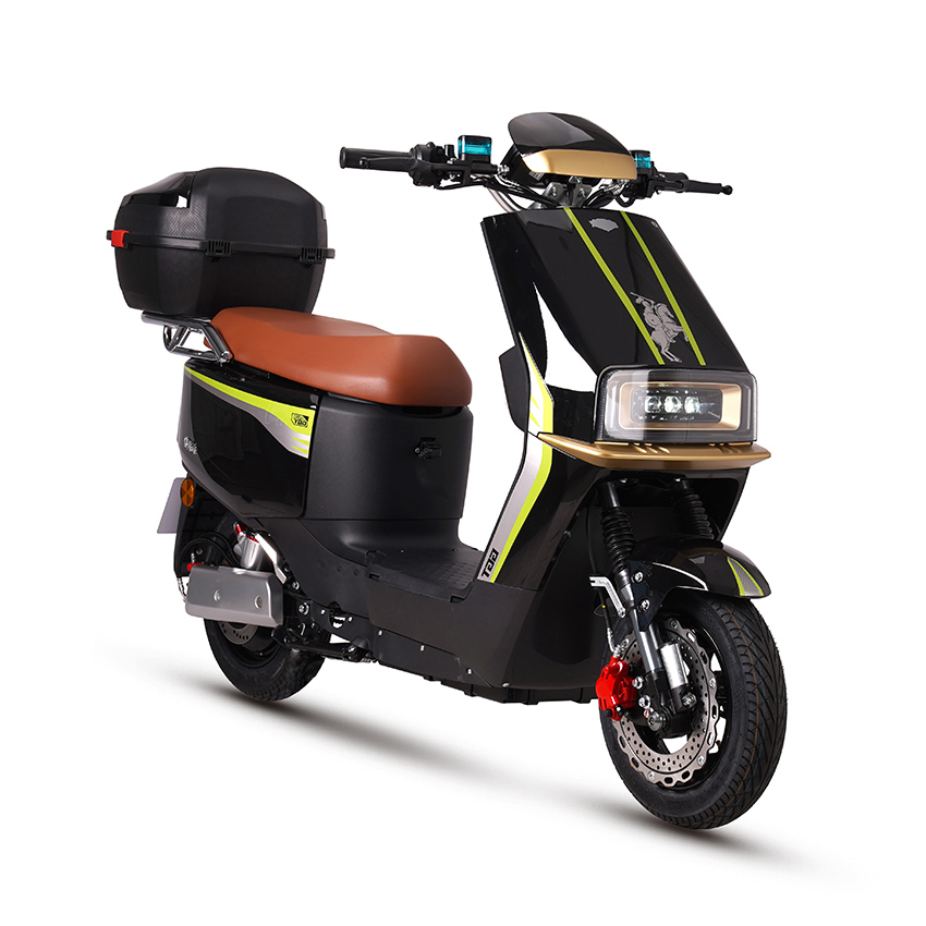 E Bike Motorcicleta eléctrica Scooter Electric E-scooter D18-5
