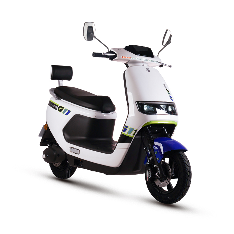  E Bike Electric Motorbiate Motorcycle Electric Scooter E-Scooter G11