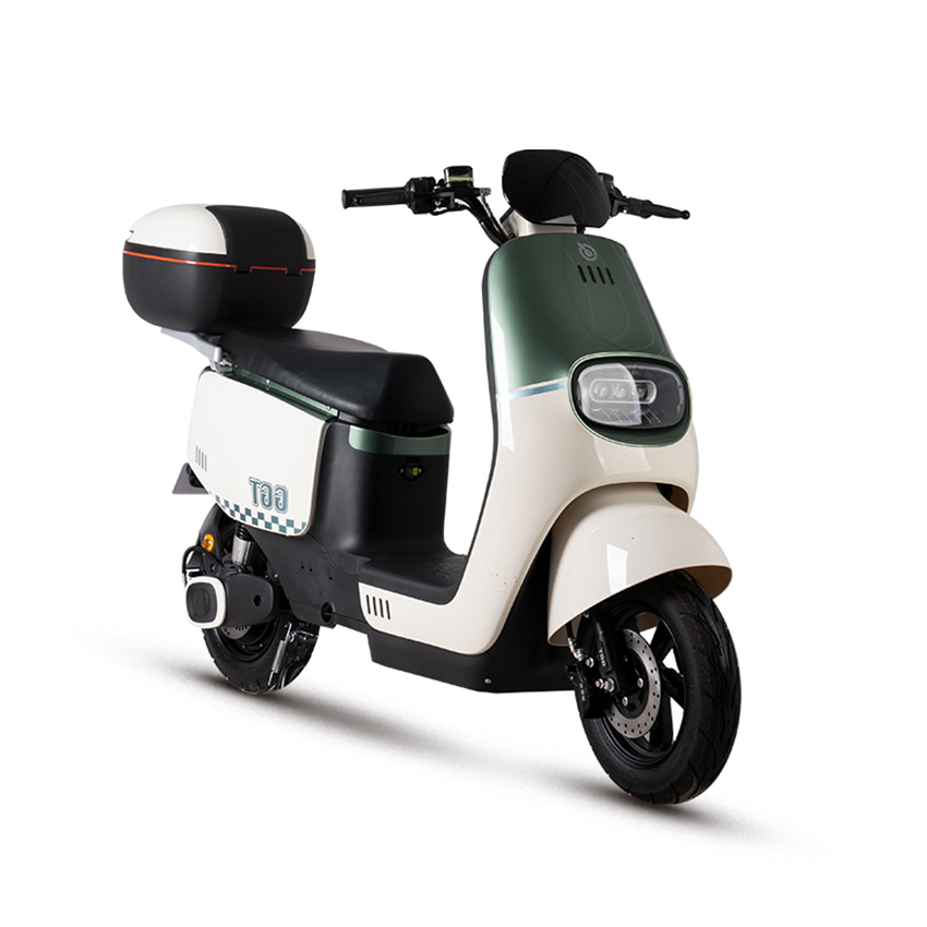 E motocicleta eléctrica de bicicleta eléctrica Scooter eléctrico E-Scooter E-Motor D21