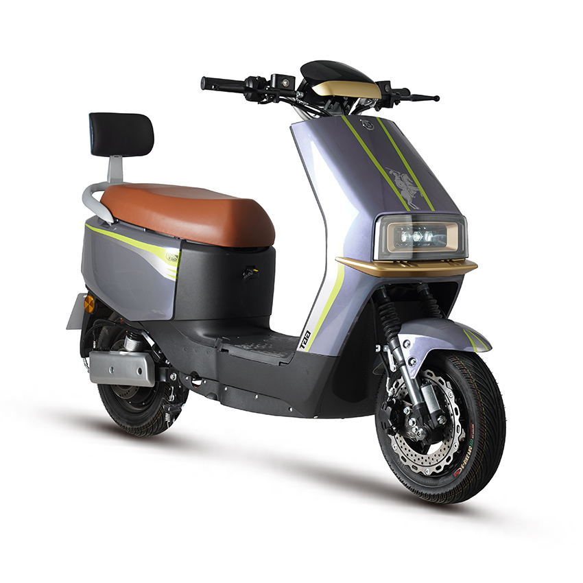 E Bike Motorcicleta eléctrica Scooter Electric E-scooter D18-5