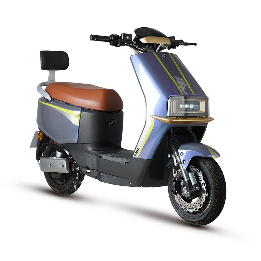 E Bike Motorcicleta eléctrica Scooter Electric E-scooter D18-5
