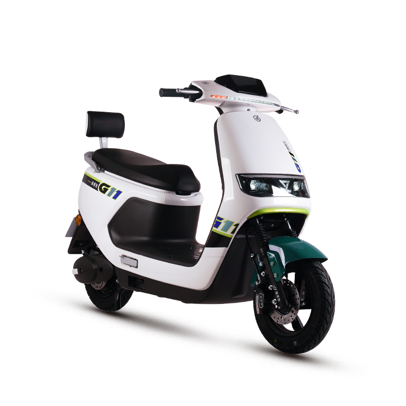  E Bike Electric Motorbiate Motorcycle Electric Scooter E-Scooter G11