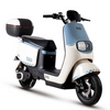 E motocicleta eléctrica de bicicleta eléctrica Scooter eléctrico E-Scooter E-Motor D21